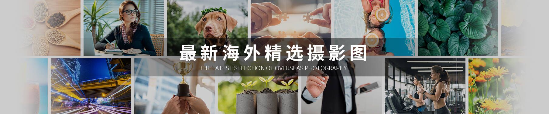 摄图网-正版高清图片免费下载_商用设计素材图库